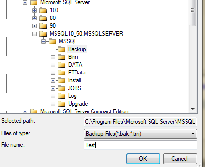backup_sql_server_database